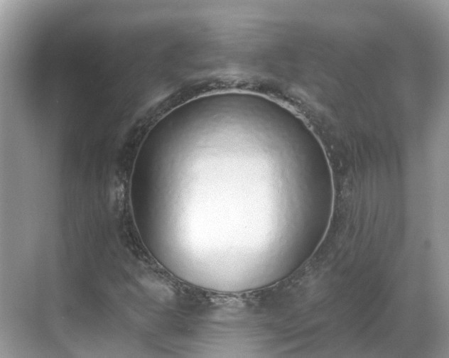 X0000068761302200605051555