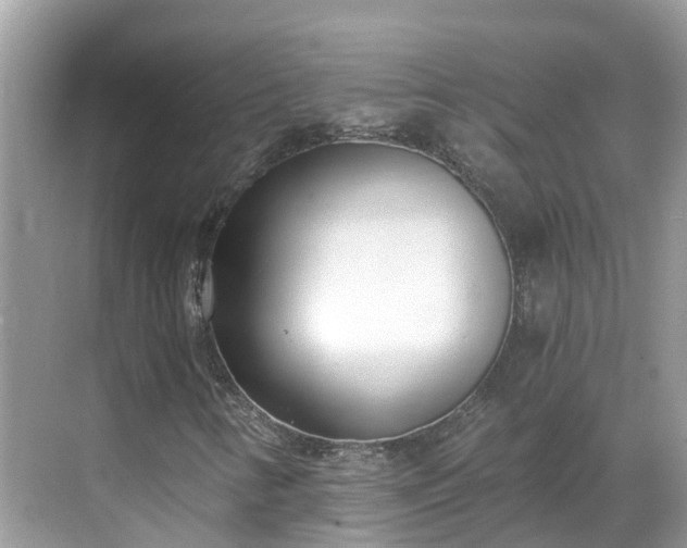 X0000068761346200605051555