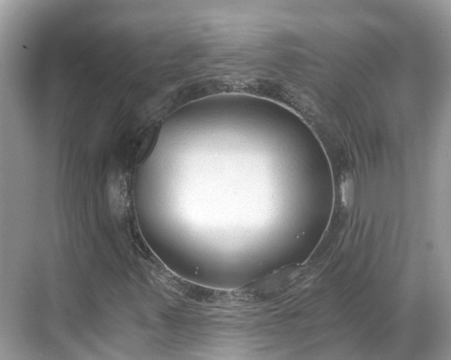 X0000068761347200605051555
