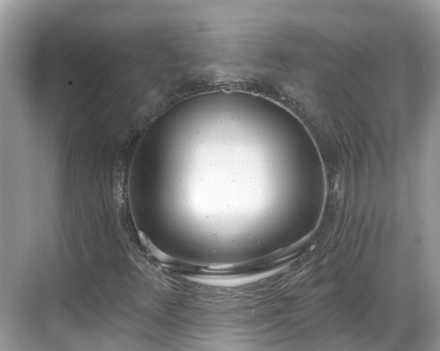X0000068761348200605051555