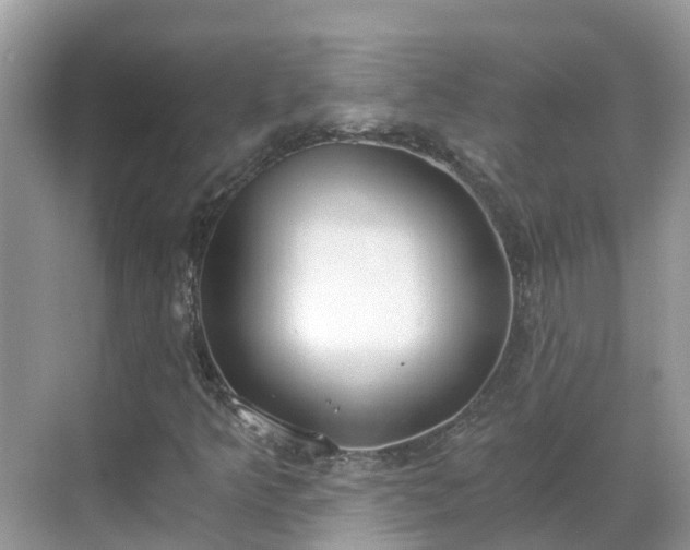 X0000068761349200605051555