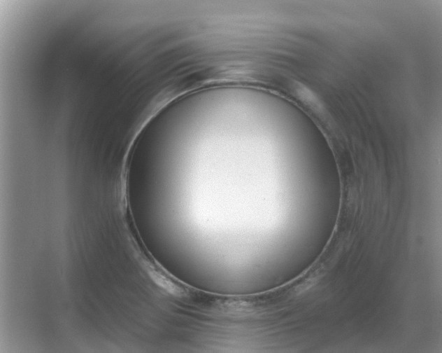 X0000068761370200605051555