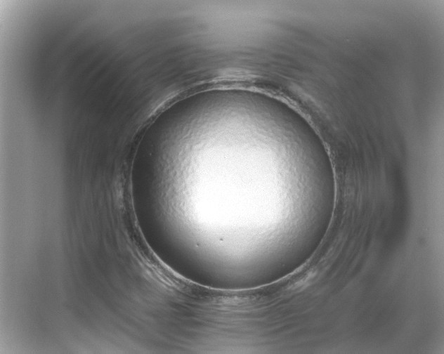 X0000068761401200605051554