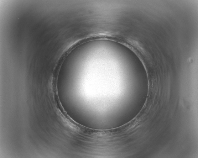 X0000068761404200605051554