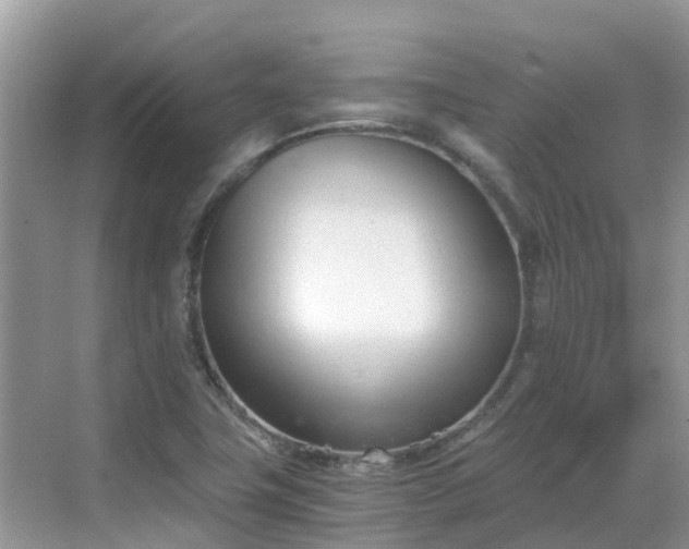 X0000068761411200605051554