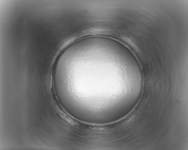 X0000068761413200605051554