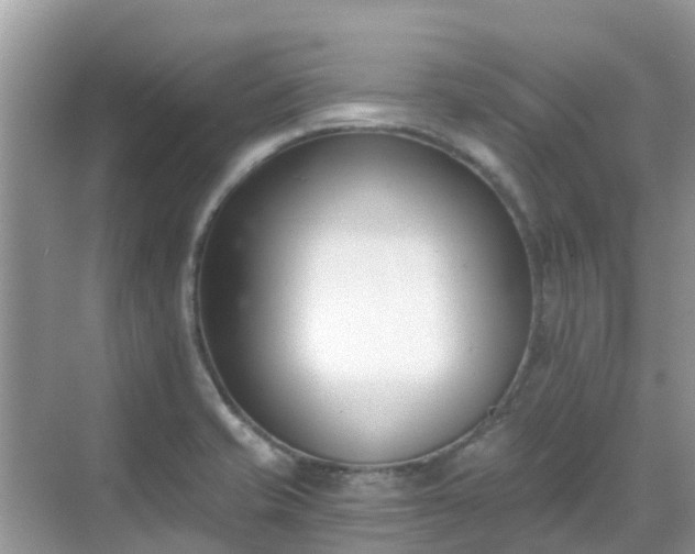 X0000068761421200605051554
