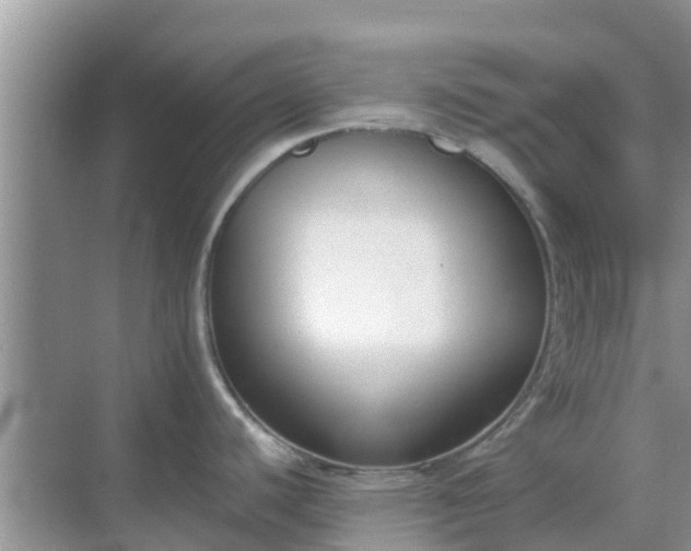 X0000068761440200605051554