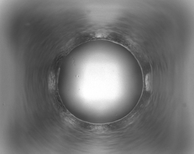X0000068761443200605051553