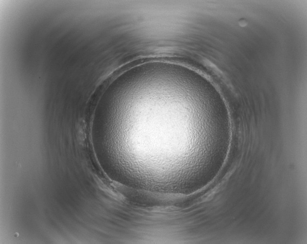 X0000068761449200605051553