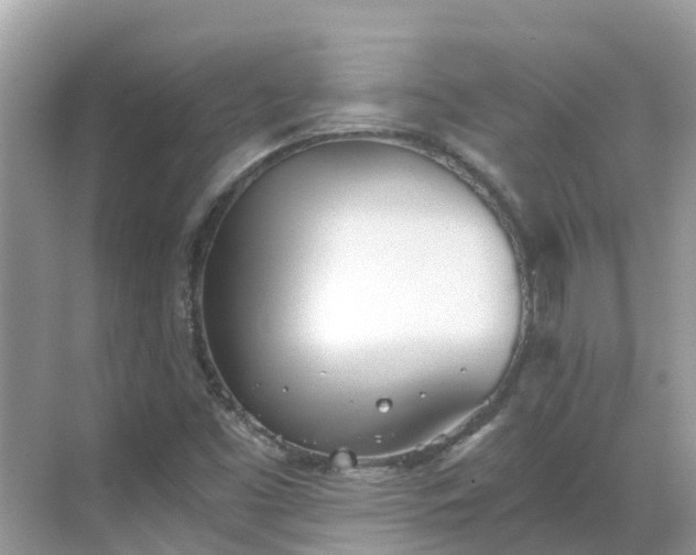 X0000068761453200605051553