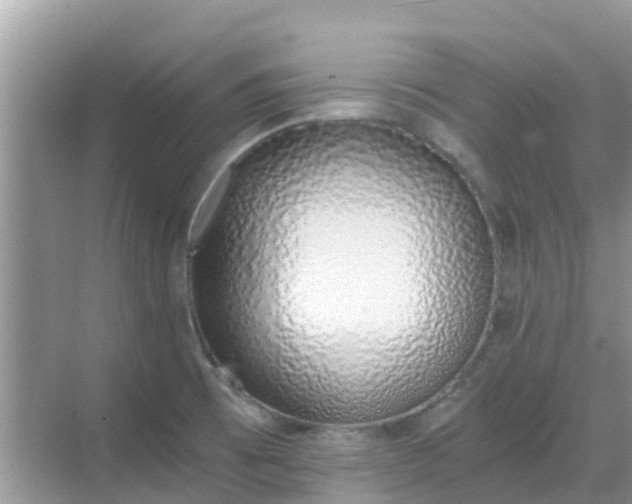 X0000068761473200605051553