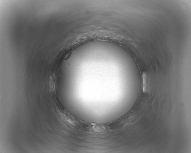 X0000068761491200605051552