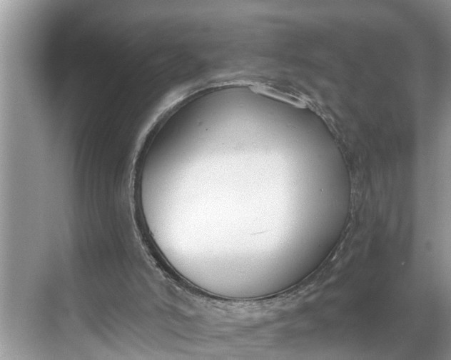 X0000068760006200605121648