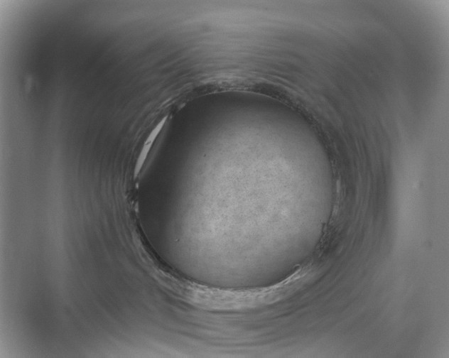 X0000068760048200605121647
