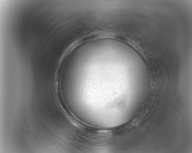 X0000068760053200605121646
