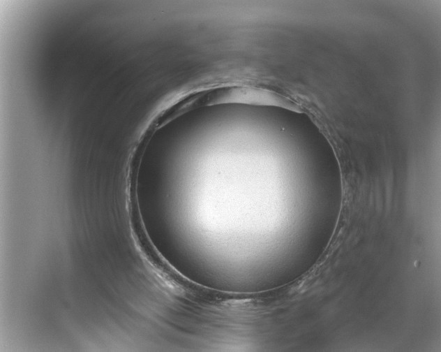 X0000068760054200605121646
