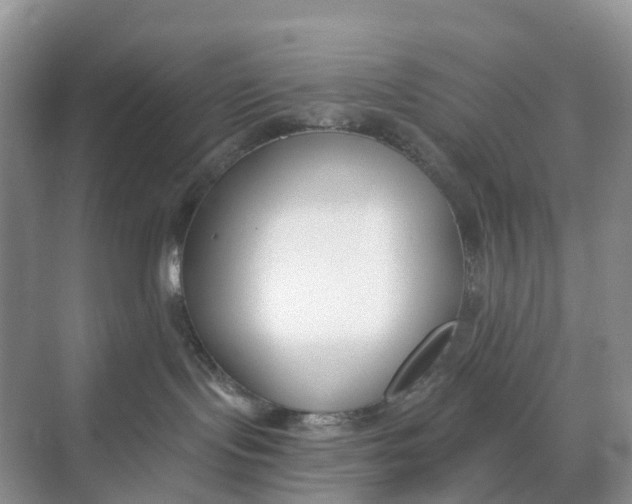 X0000068760095200605121647