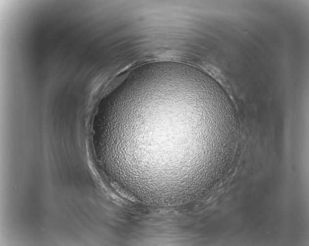 X0000068760097200605121646
