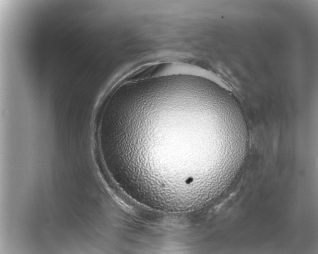X0000068760101200605121646