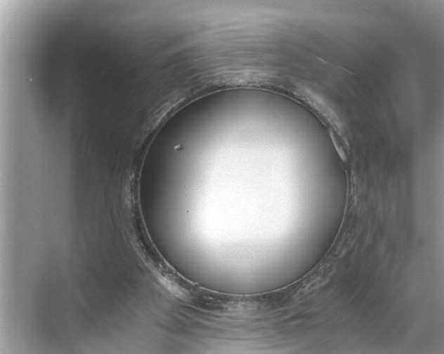 X0000068760105200605121646