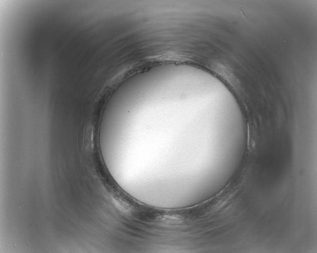 X0000068760157200605121645