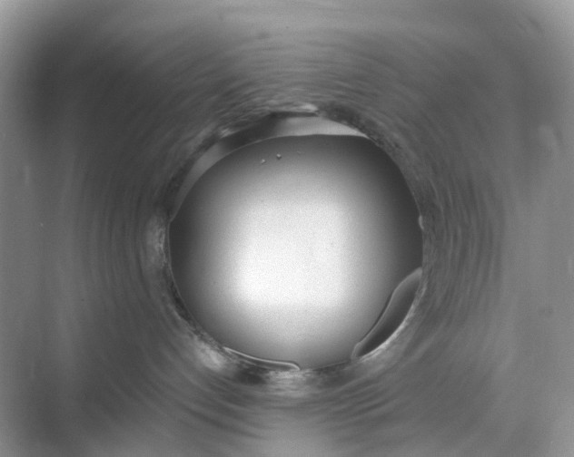 X0000068760192200605121645