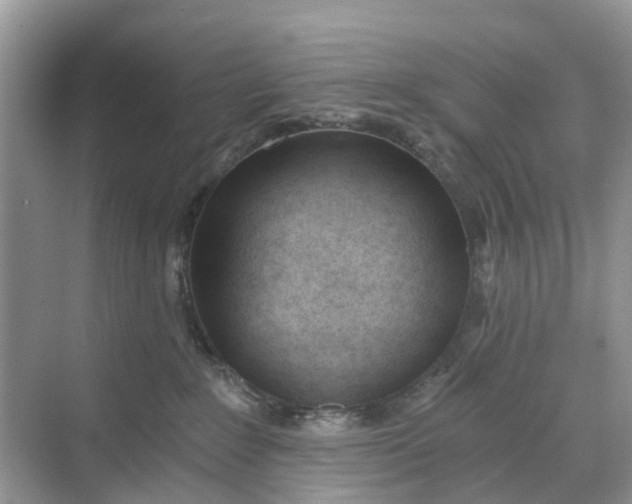 X0000068760235200605121644