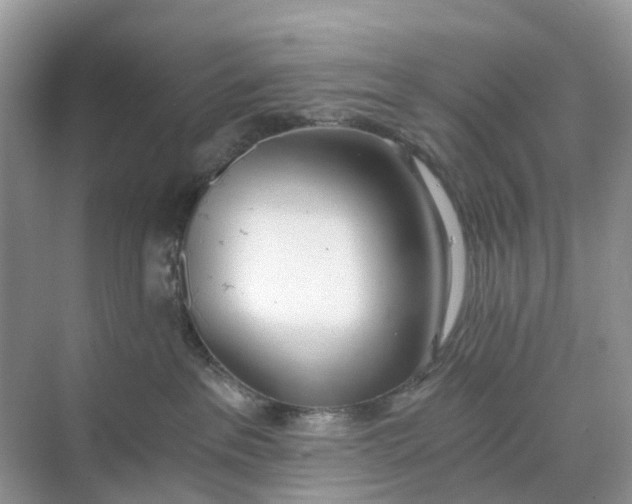 X0000068760237200605121644