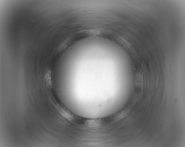 X0000068760238200605121644