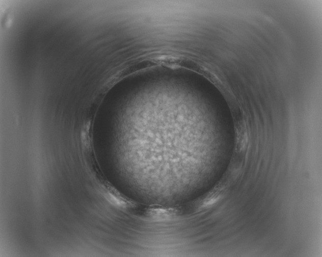 X0000068760239200605121644