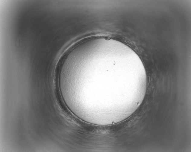 X0000068760247200605121643