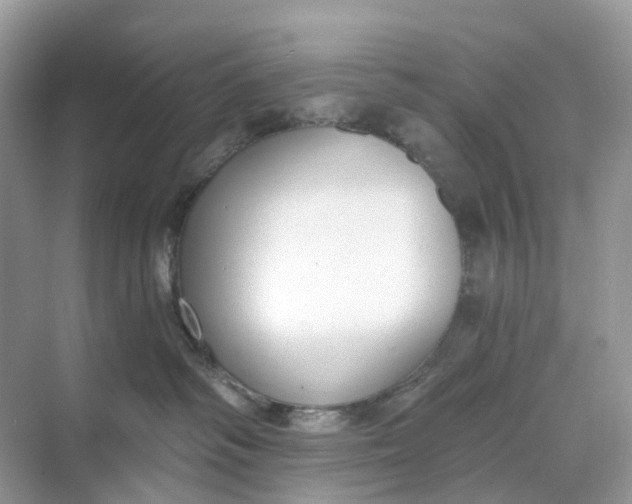 X0000068760334200605121642