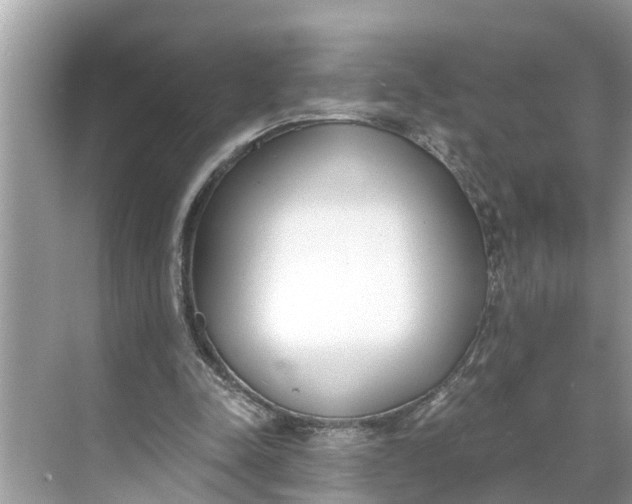 X0000068760342200605121641