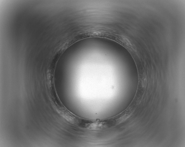 X0000068760366200605121642
