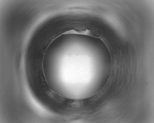 X0000068760383200605121642