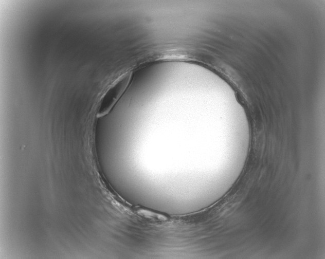 X0000068760385200605121641