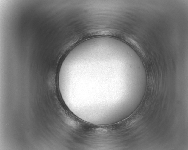 X0000068760394200605121641