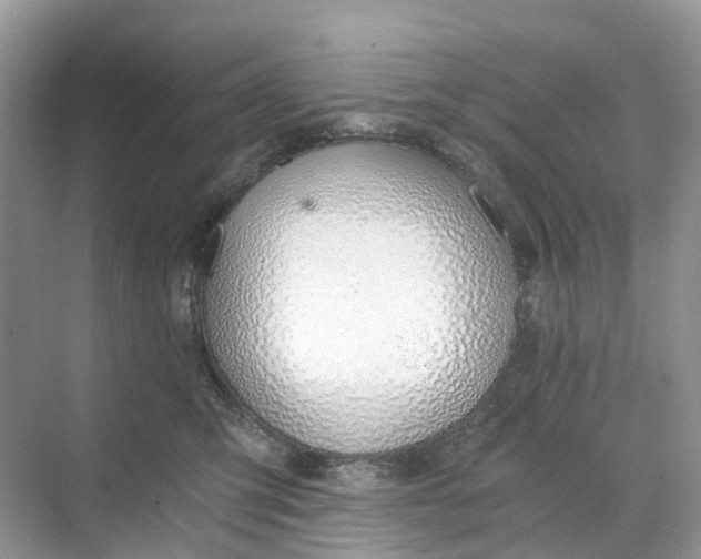 X0000068760423200605121641