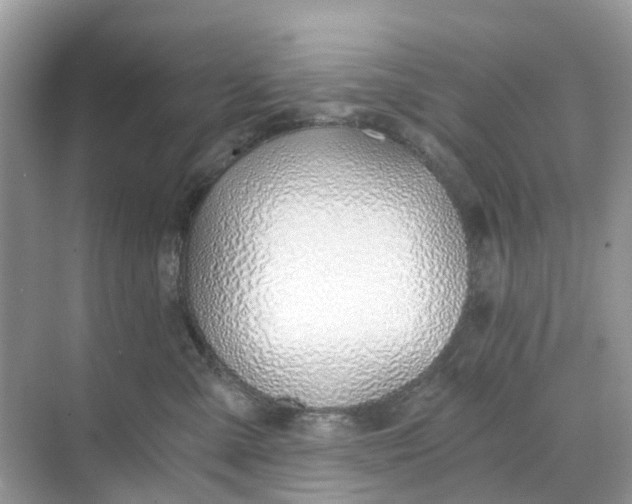 X0000068760427200605121641