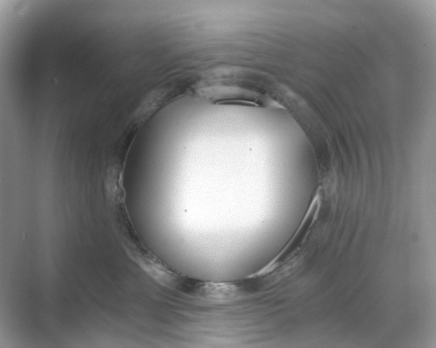 X0000068760429200605121640