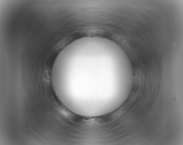 X0000068760430200605121640