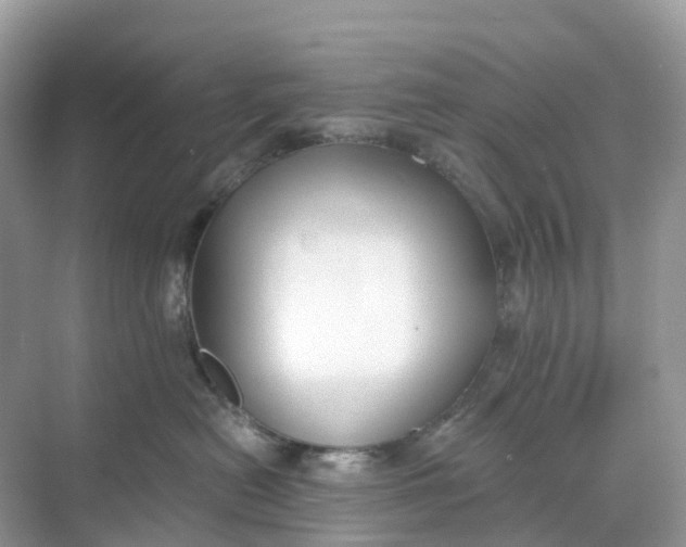 X0000068760478200605121640
