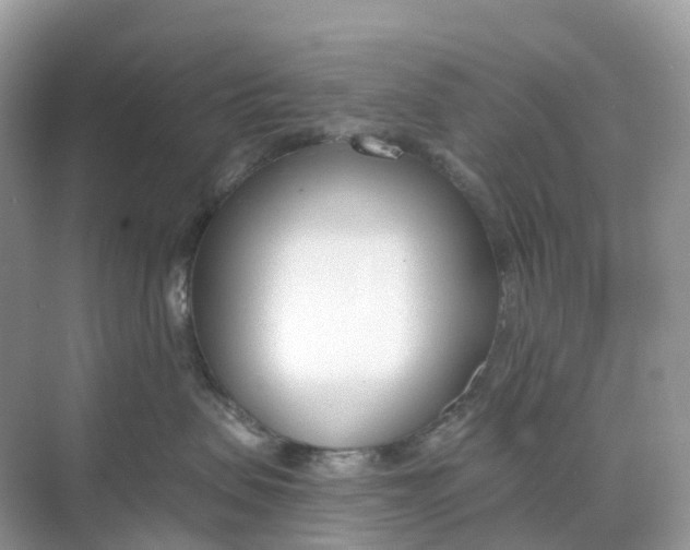 X0000068760479200605121640