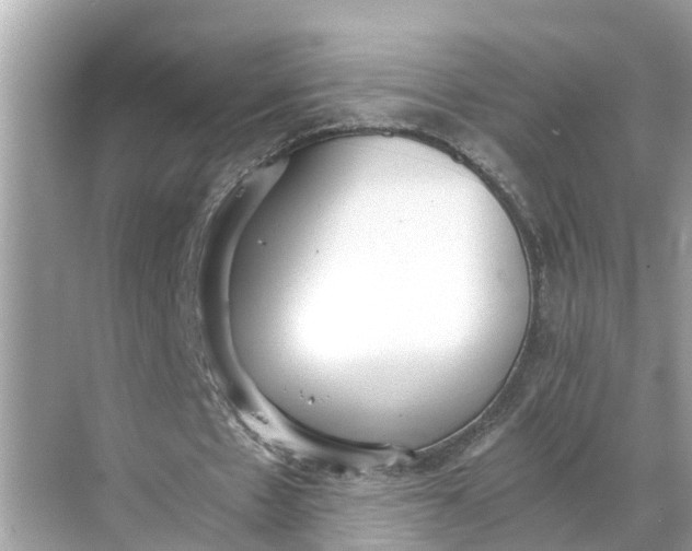 X0000068760481200605121640