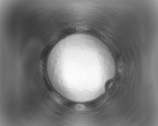 X0000068760519200605121639