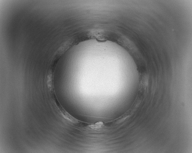 X0000068760526200605121639