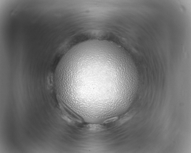 X0000068760528200605121639