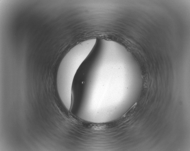 X0000068760560200605121639
