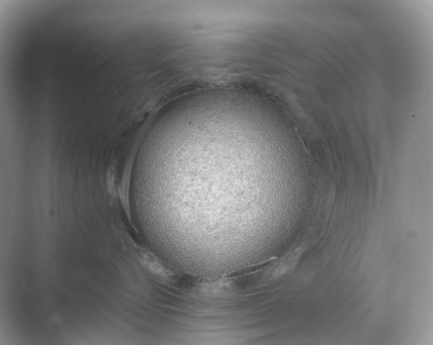 X0000068760576200605121639